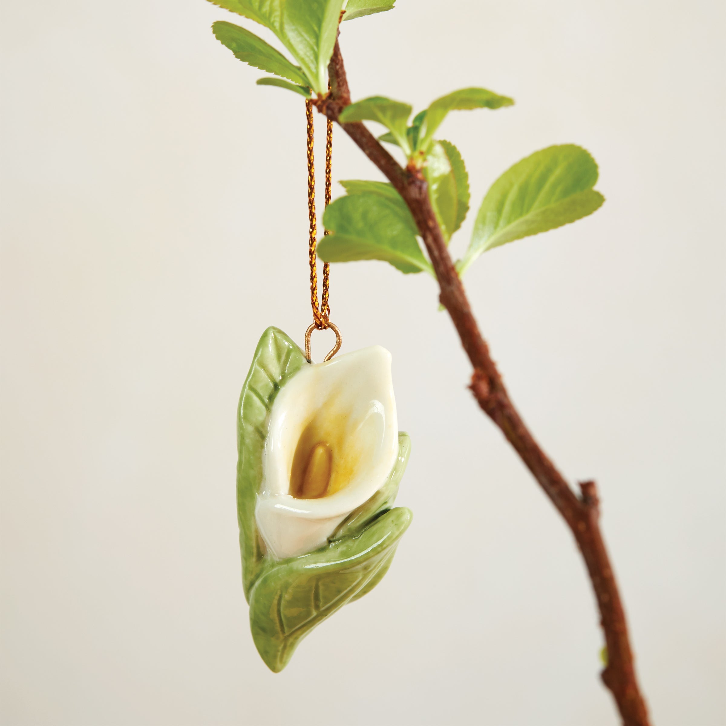 Celebrate Flowers 10-Piece Mini Ornament Set - Image 5