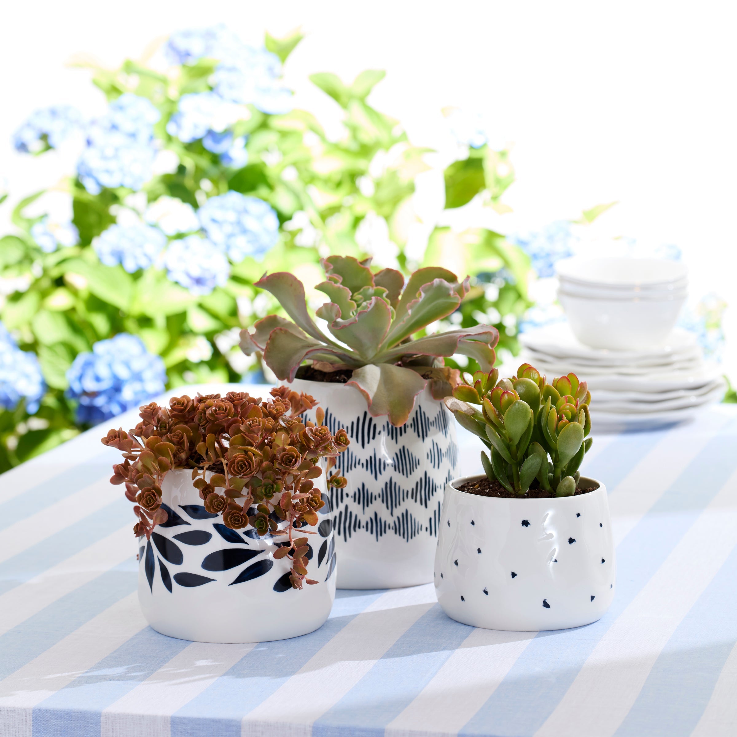 Blue Bay 3-Piece Canister Set - Image 3