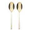 Allay Champagne 2-Piece Serving Spoons