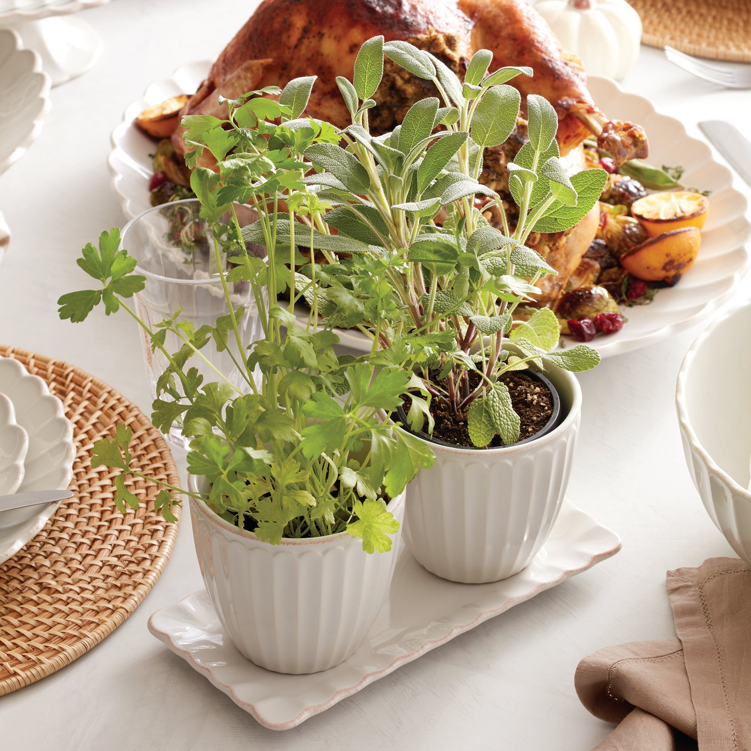 French Perle Scallop White 3-Piece Herb Pot Set - Image 2