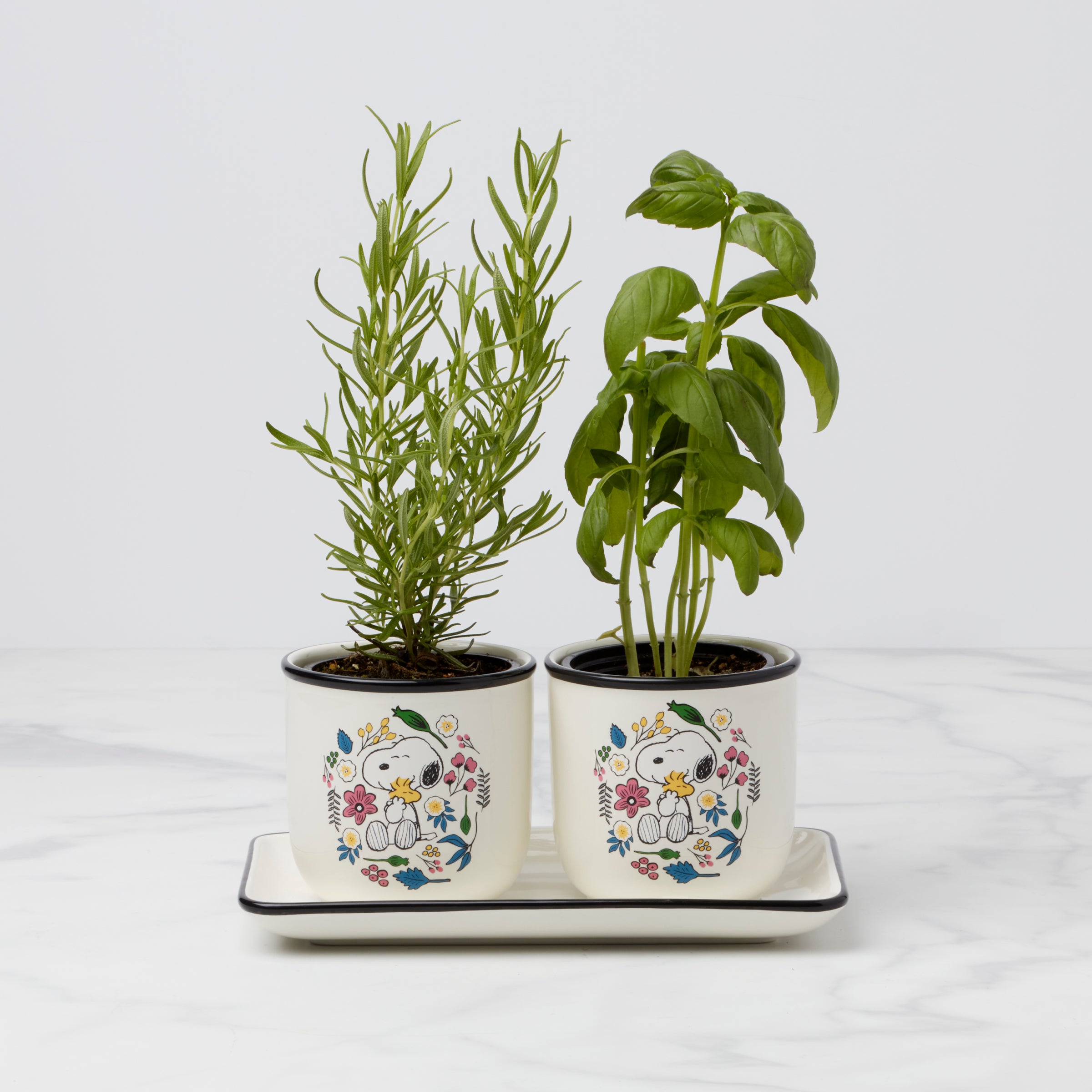 Chef Snoopy Herb Pots. Set Of 3 - Image 3