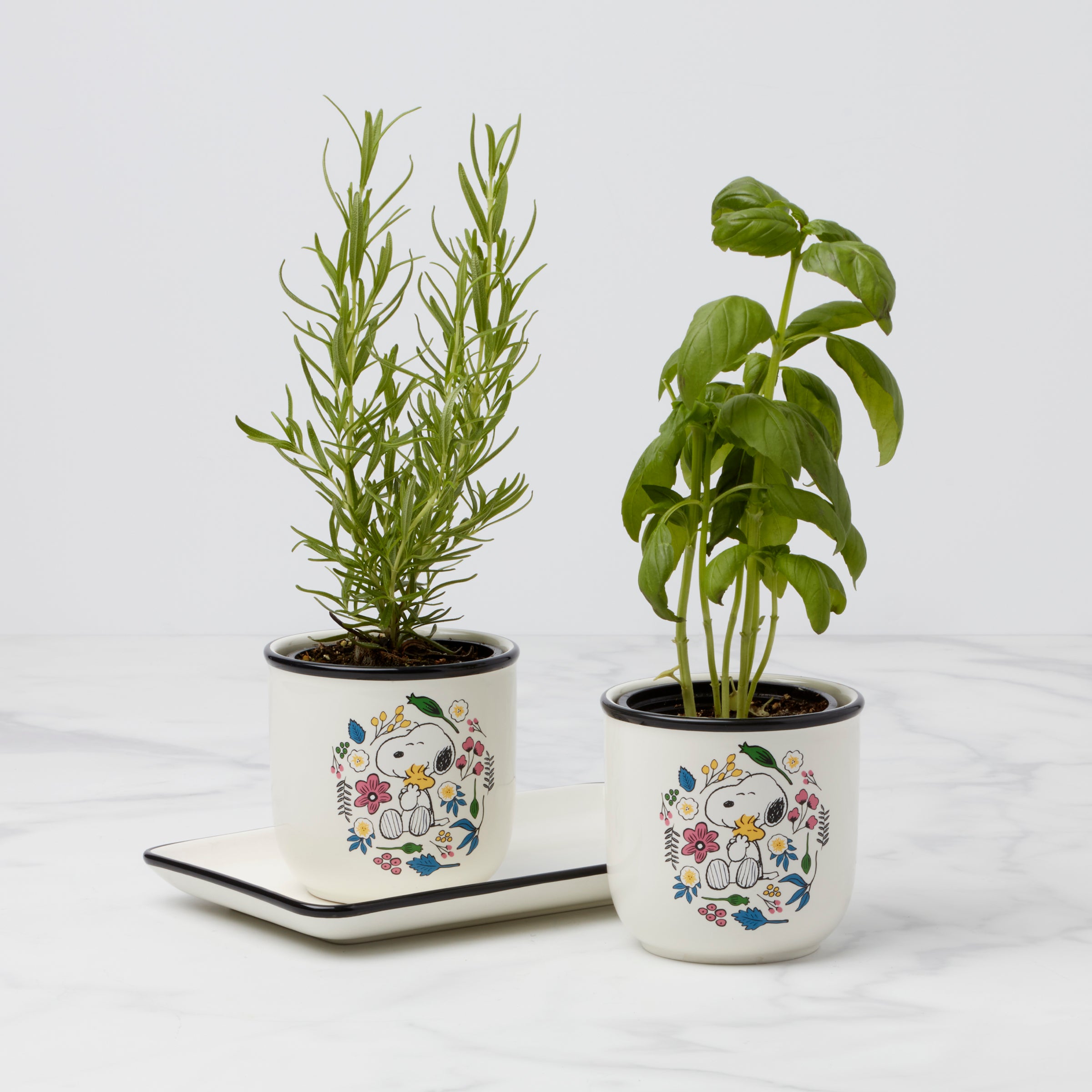 Chef Snoopy Herb Pots. Set Of 3 - Image 4