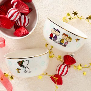 Alternative view of Peanuts Gang All-Purpose Bowls. Set of 4. Assorted