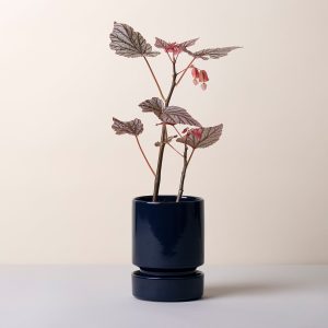 Alternative view of Hoff Glazed Sapphire Blue 12cm Pot with Saucer