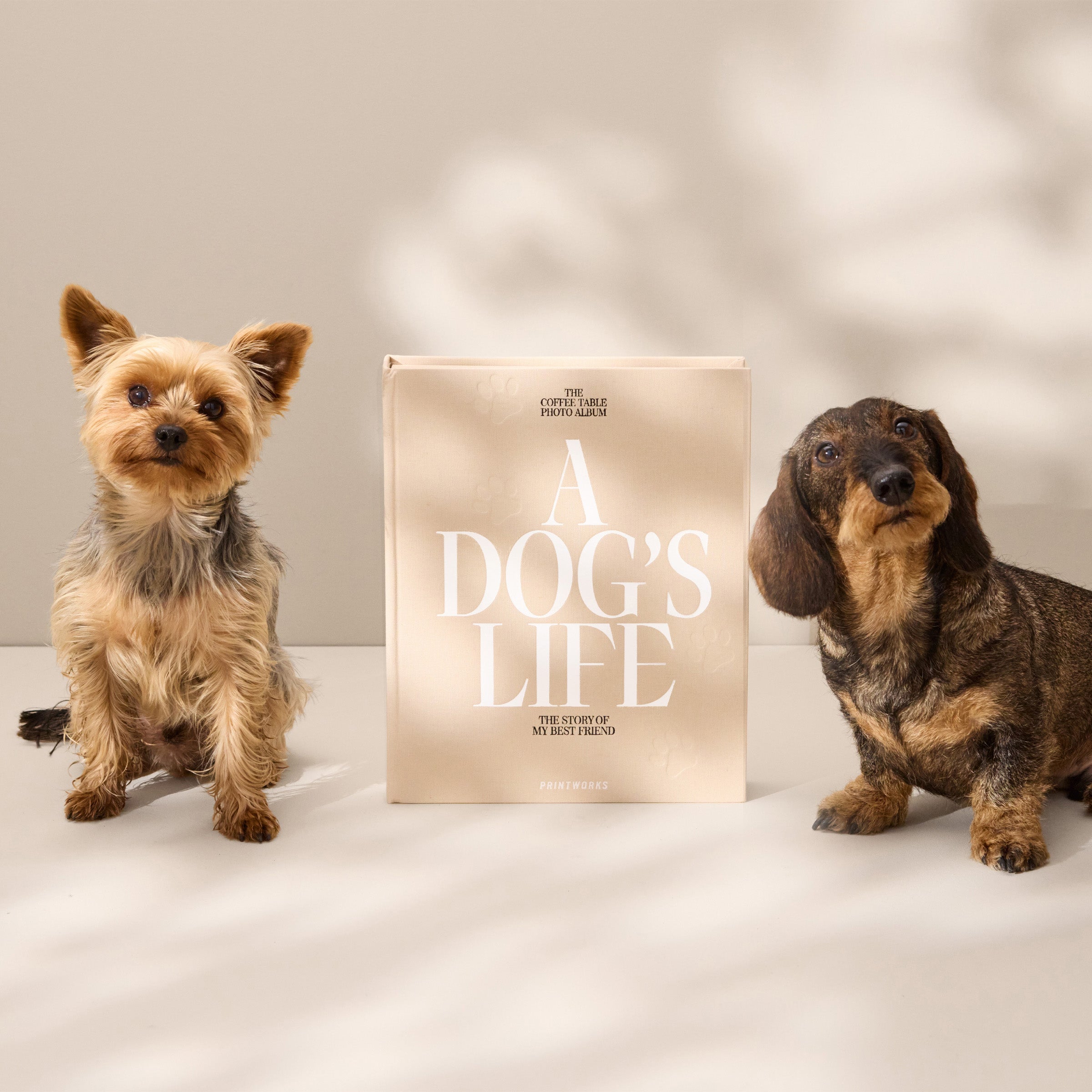 A Dog's Life Photo Album - Image 4