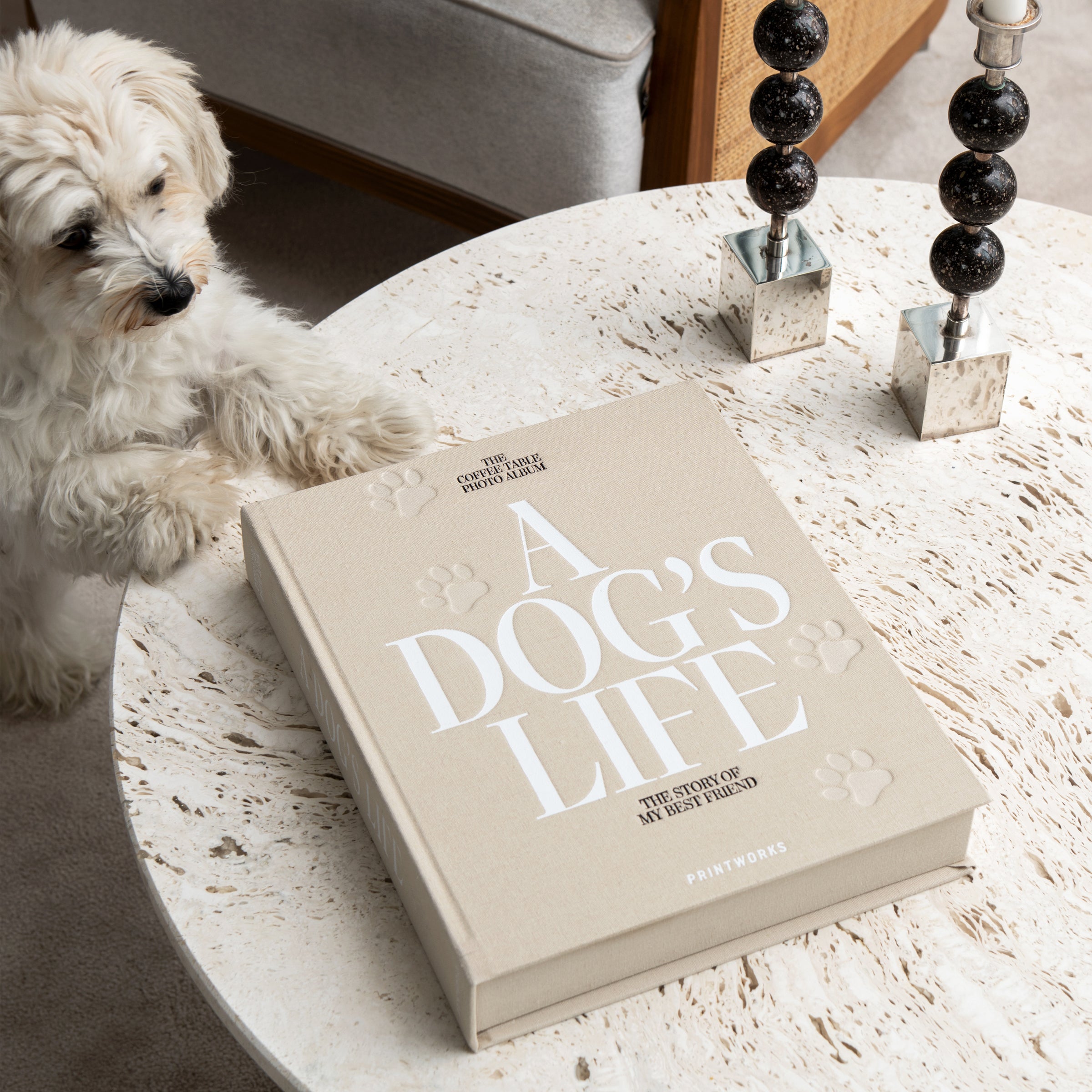 A Dog's Life Photo Album - Image 6
