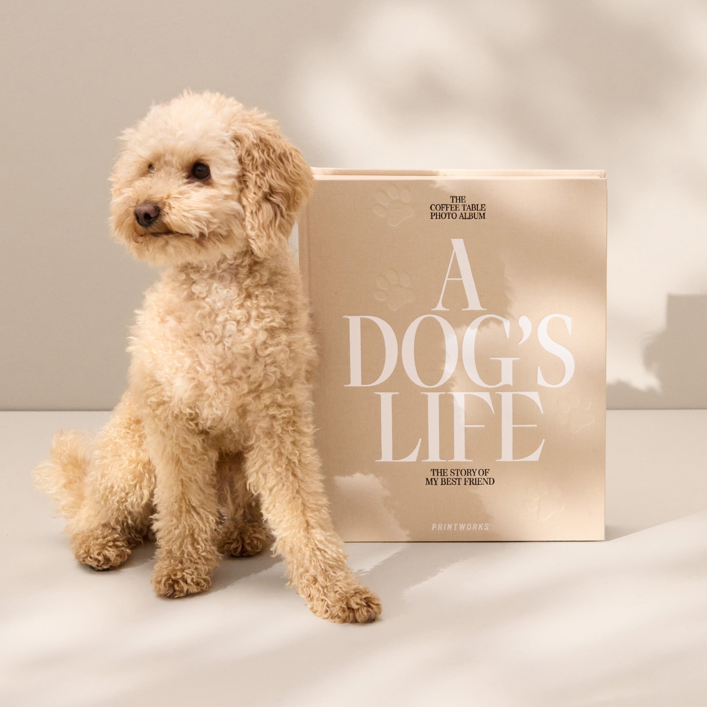 A Dog's Life Photo Album - Image 3