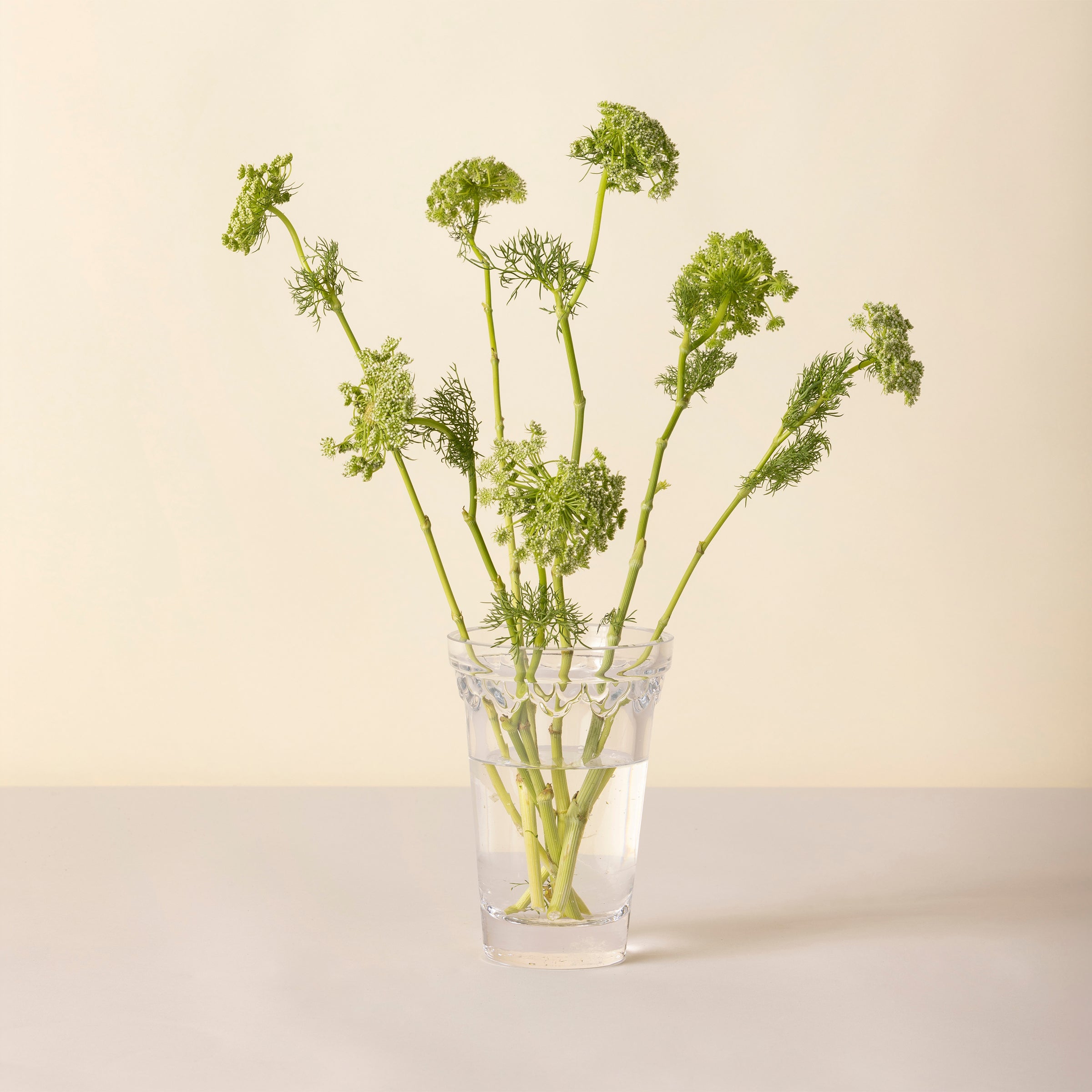 Kobenhavner Small Clear Glass Vase - Image 2