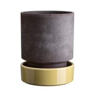 Hoff Raw Grey & Glazed Pale Yellow 14cm Pot with Saucer