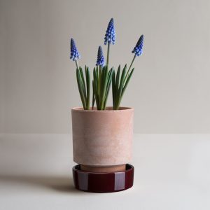 Alternative view of Hoff Raw Rosa & Glazed Deep Burgundy 14cm Pot with Saucer