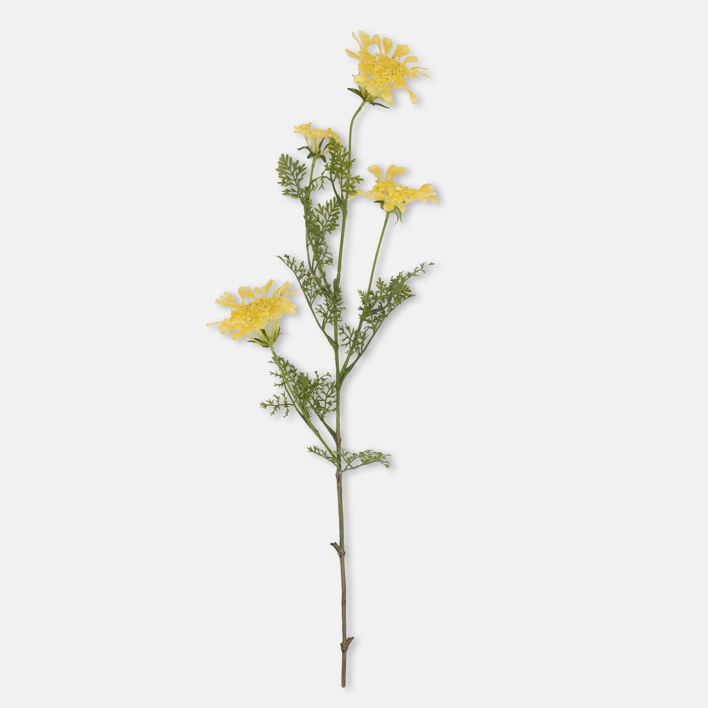 Artificial Wild Dill Stem - Image 2
