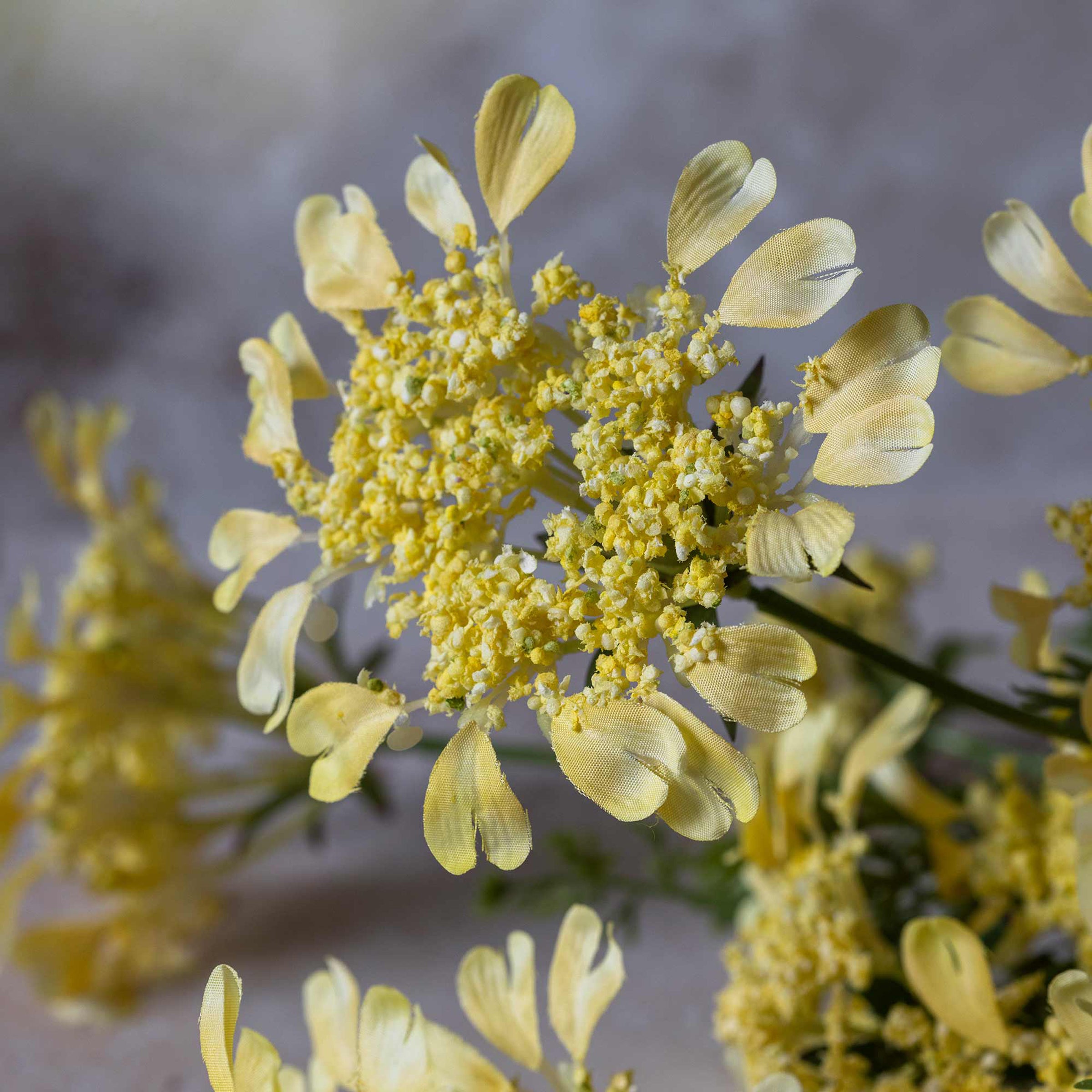 Artificial Wild Dill Stem - Image 3