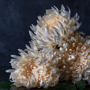 Alternative view of Artificial Cream Chrysanthemum Stem