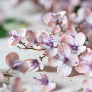 Alternative view of Artificial Blush Japanese Cherry Stem