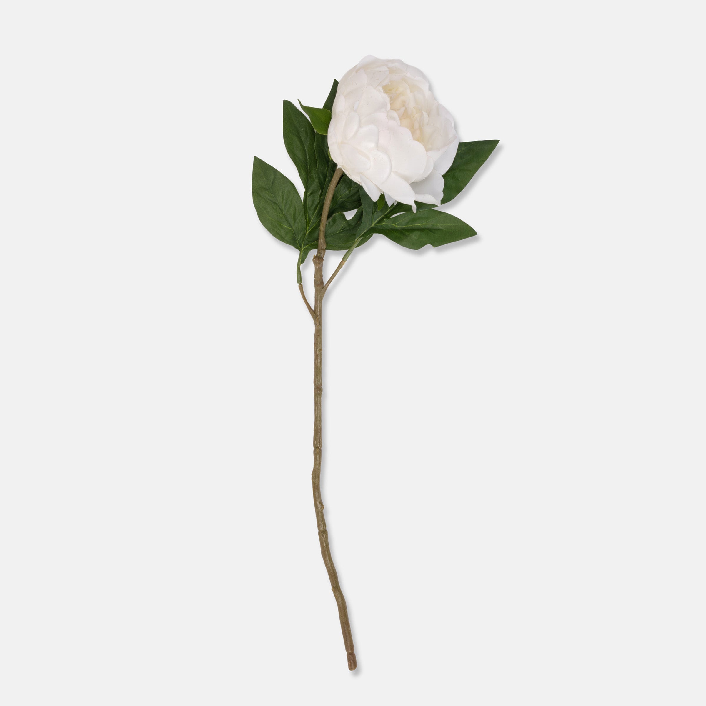 Artificial Real Touch White Peony Stem - Image 2