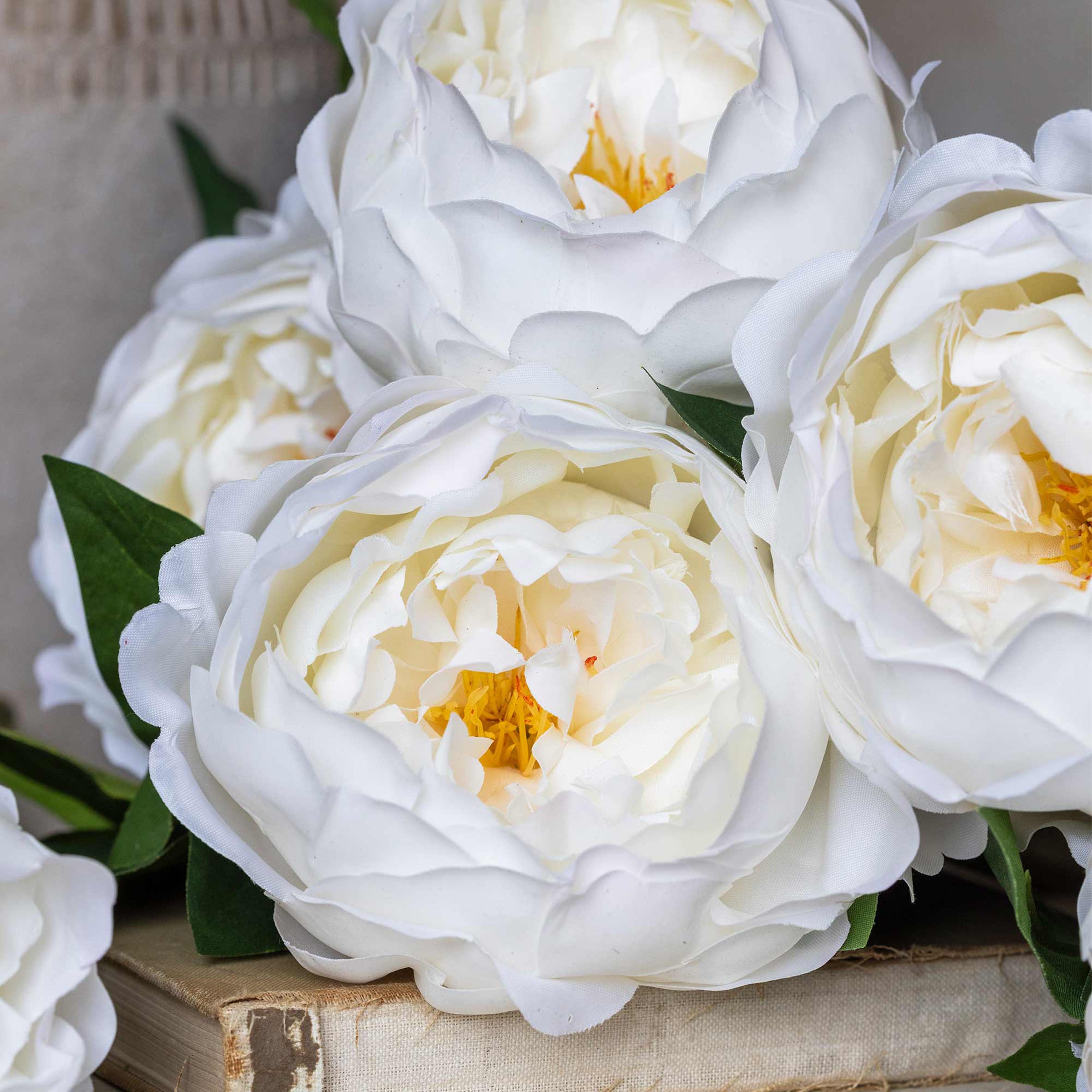 Artificial Real Touch White Peony Stem - Image 4