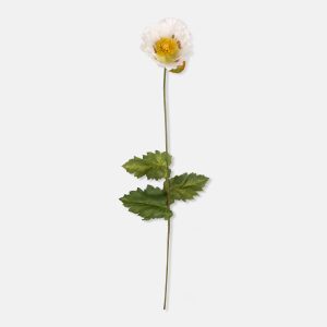 Alternative view of Artificial White Poppy Stem