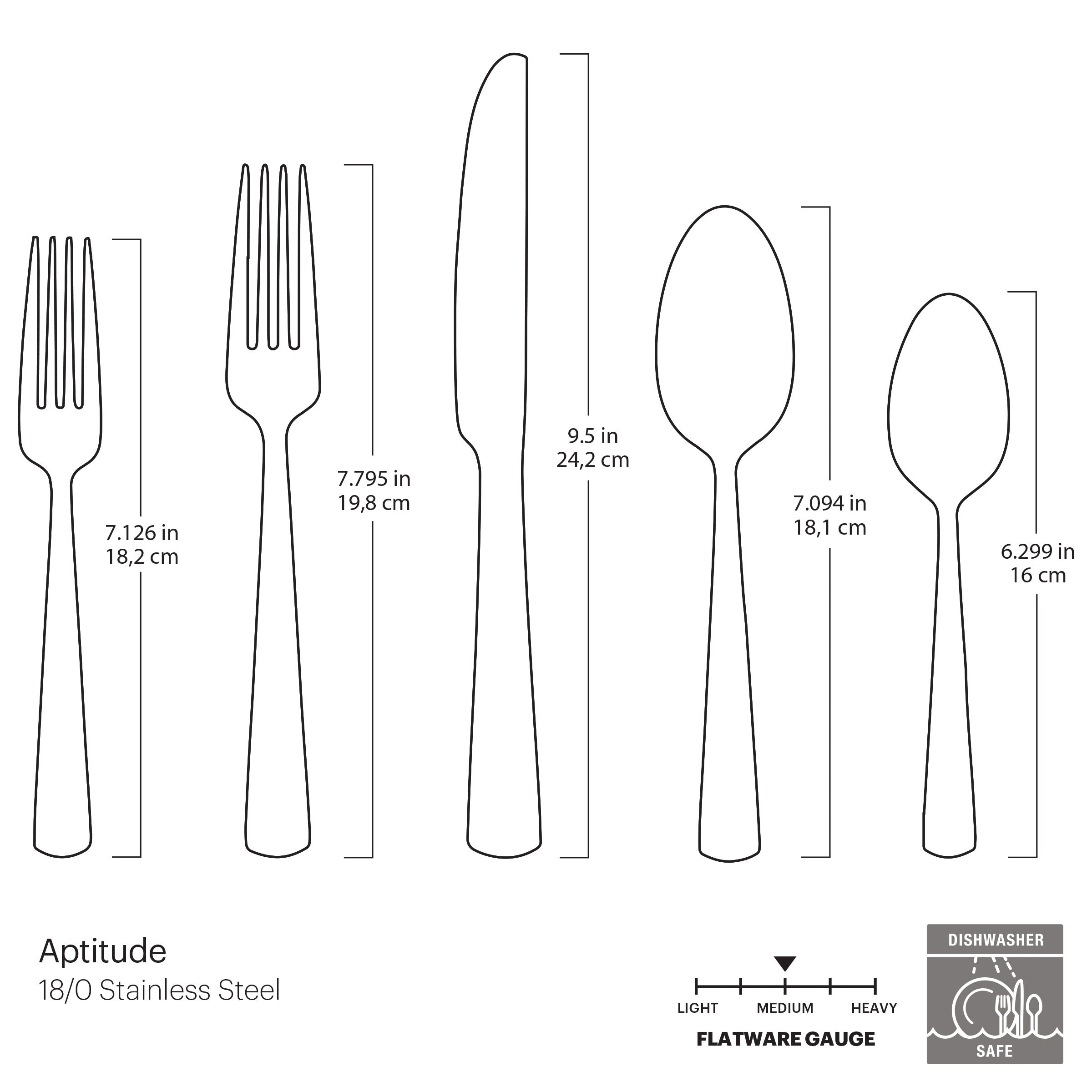 Aptitude Midnight Glossy 20-Piece Flatware Set - Image 4